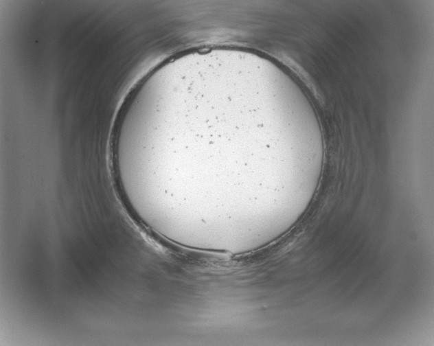 X0000064751285200603031724