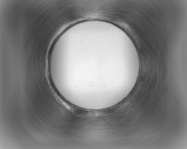 X0000064751286200603031724