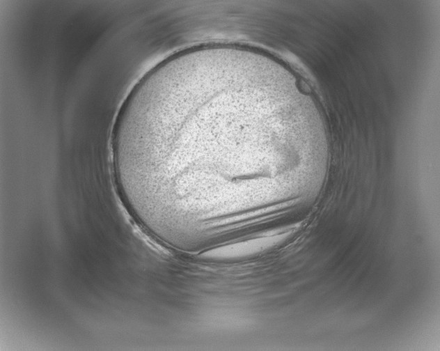 X0000064751287200603031724