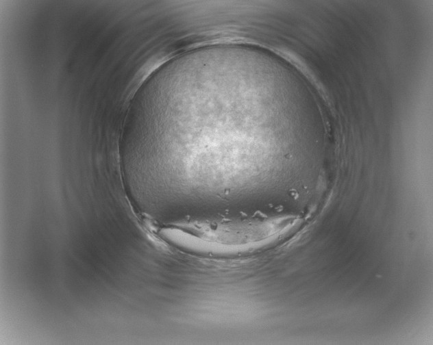 X0000064751289200603031724