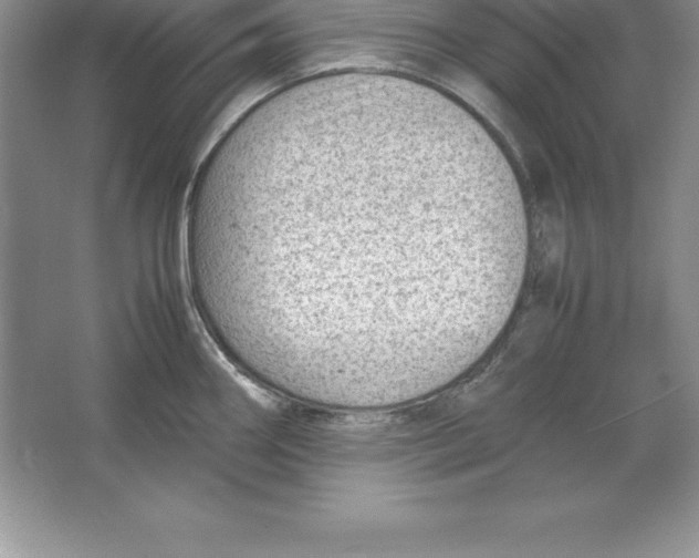 X0000064751290200603031724