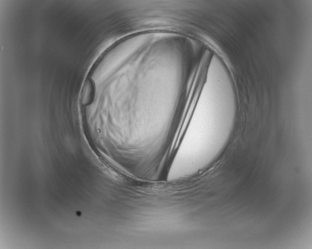 X0000064751291200603031724