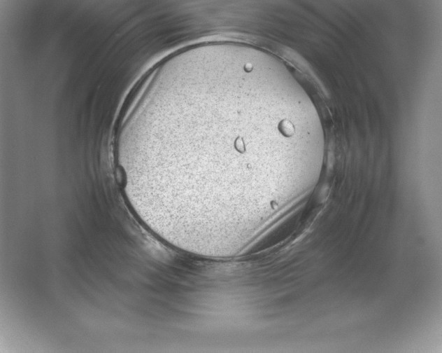 X0000064751292200603031724