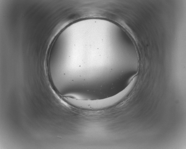 X0000064751293200603031724