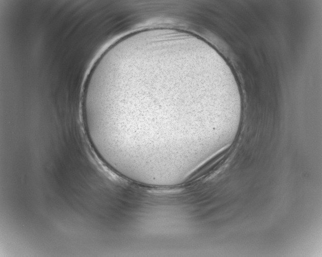 X0000064751296200603031724