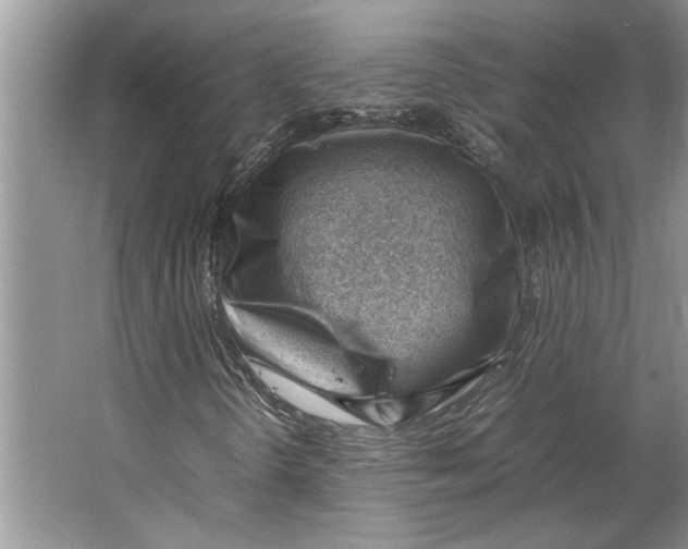 X0000064751298200603031723