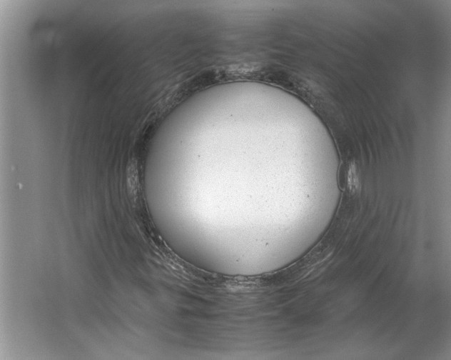 X0000064751299200603031723