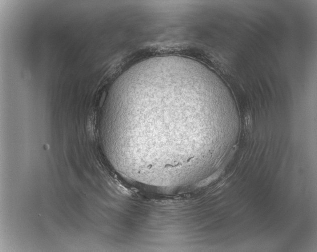 X0000064751300200603031723