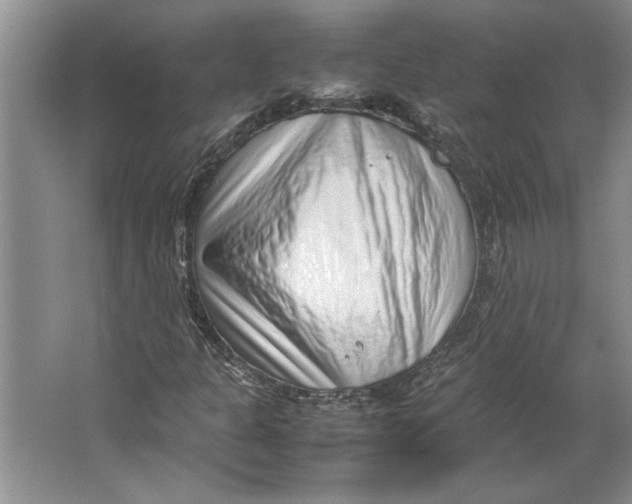 X0000064751301200603031723