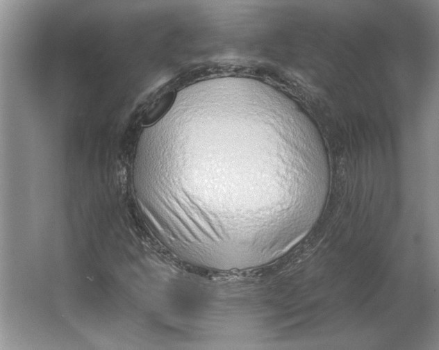 X0000064751302200603031723