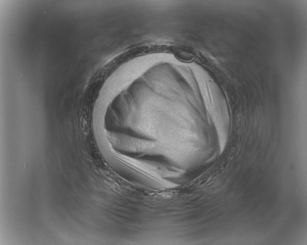 X0000064751303200603031723