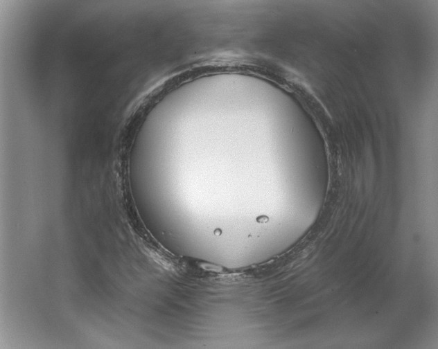 X0000064751304200603031723