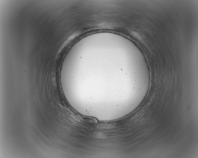 X0000064751307200603031723