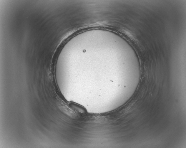 X0000064751308200603031723