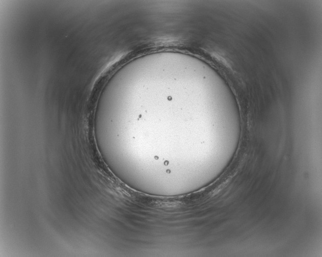 X0000064751309200603031723