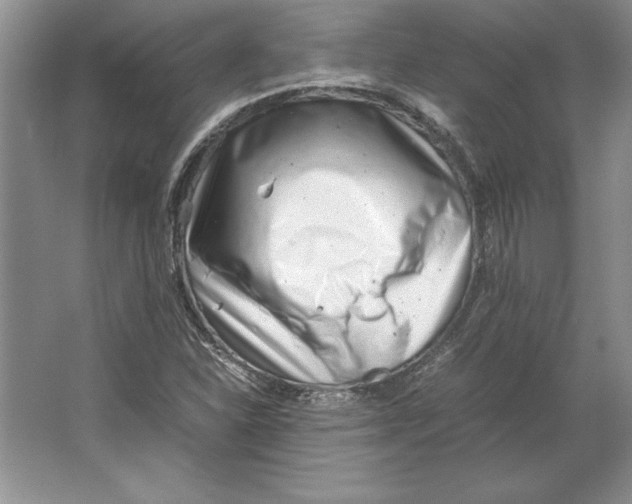 X0000064751310200603031723