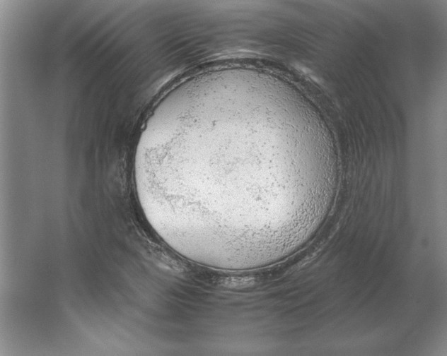 X0000064751313200603031723