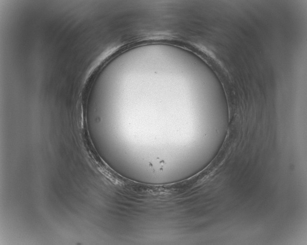 X0000064751317200603031723