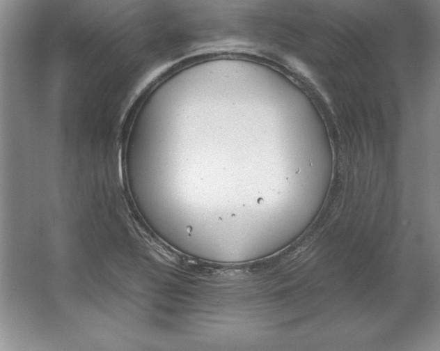 X0000064751320200603031723