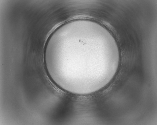 X0000064751322200603031723