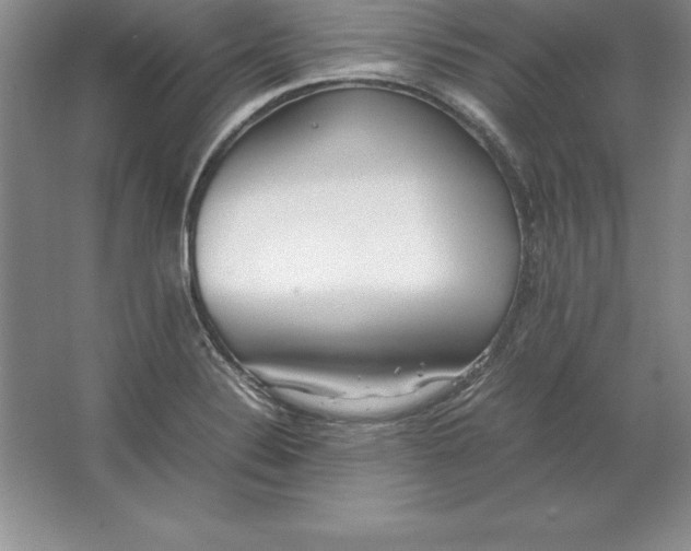 X0000064751324200603031723