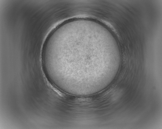 X0000064751327200603031723