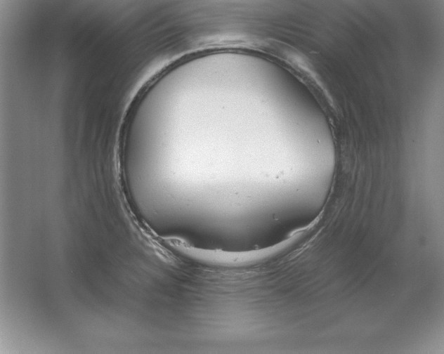 X0000064751328200603031723