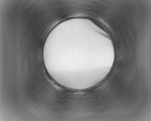 X0000064751329200603031723