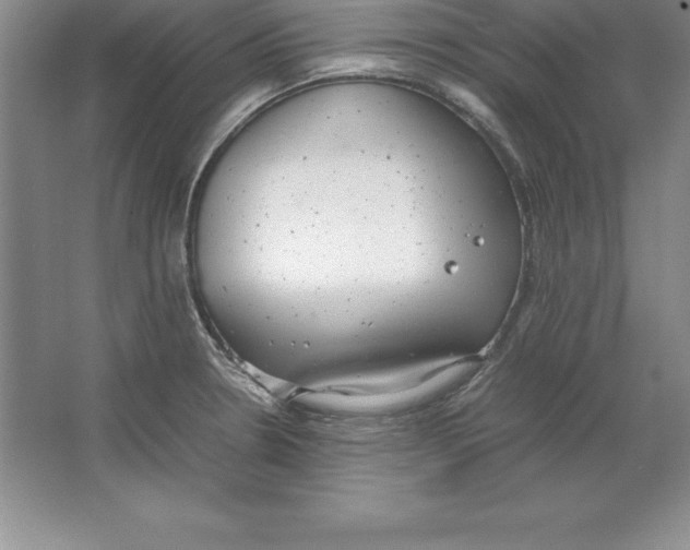 X0000064751330200603031723