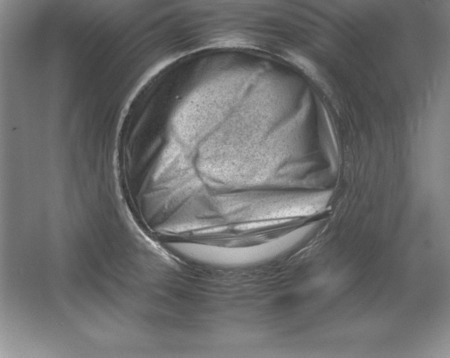 X0000064751331200603031723