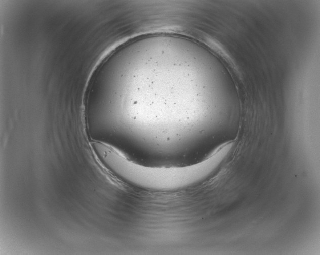 X0000064751332200603031723