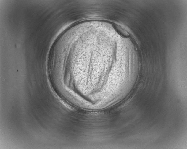 X0000064751333200603031723