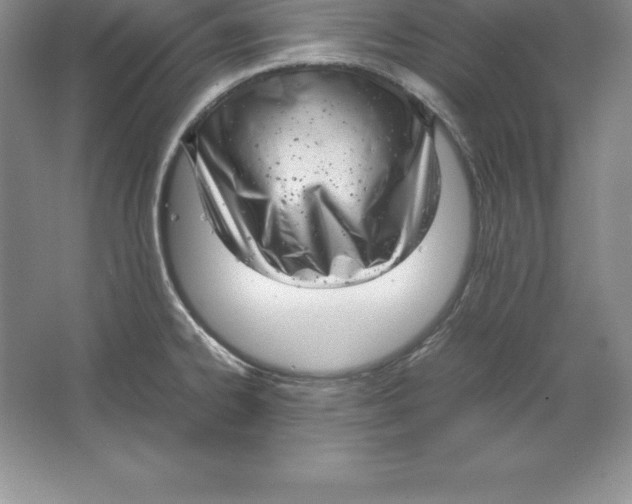 X0000064751334200603031723