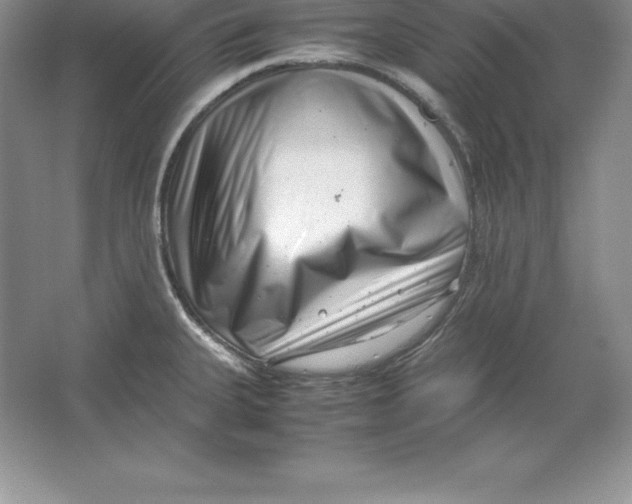 X0000064751335200603031723