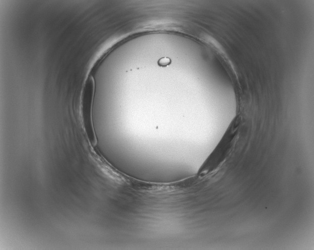 X0000064751336200603031723