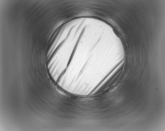 X0000064751337200603031723