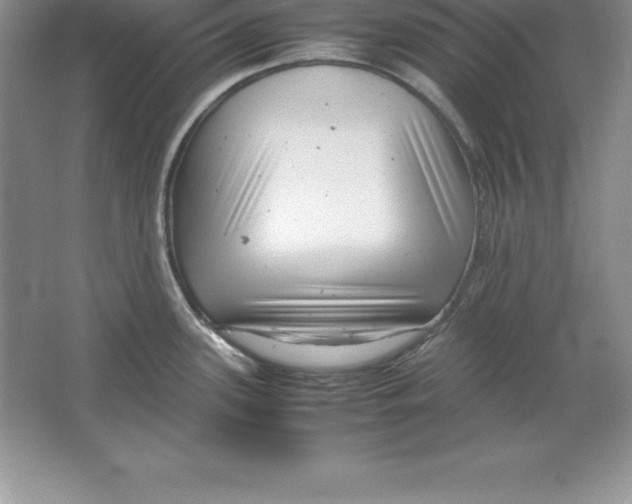 X0000064751339200603031723