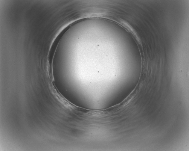 X0000064751340200603031723