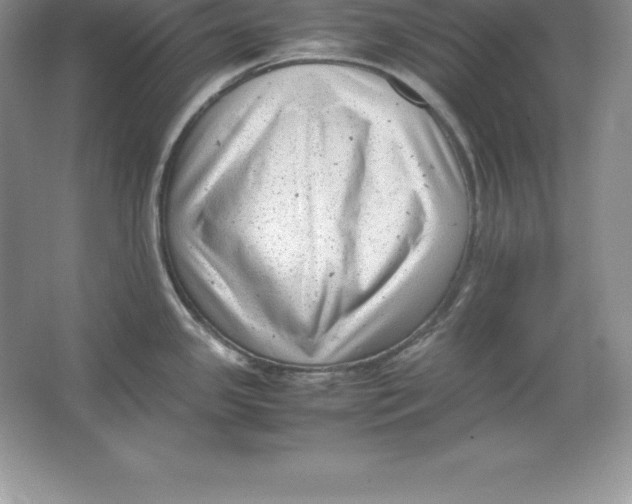 X0000064751341200603031723