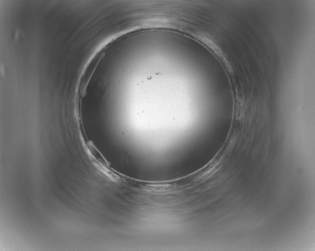 X0000064751342200603031723