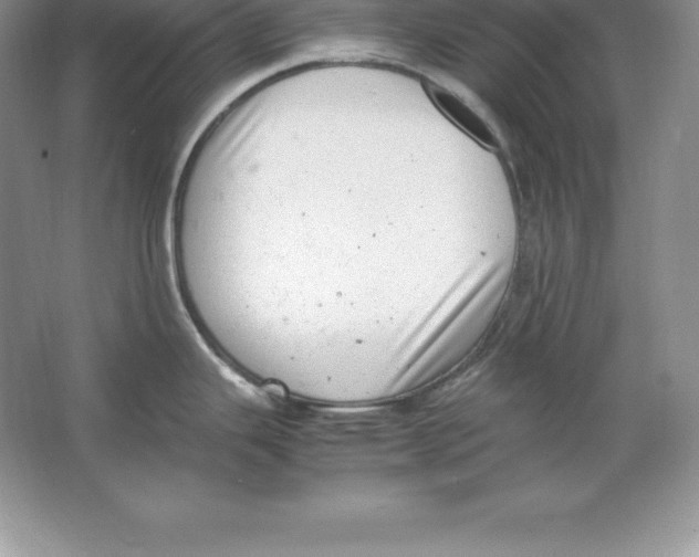 X0000064751343200603031724