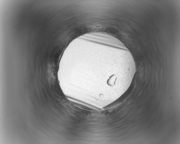 X0000064751346200603031723