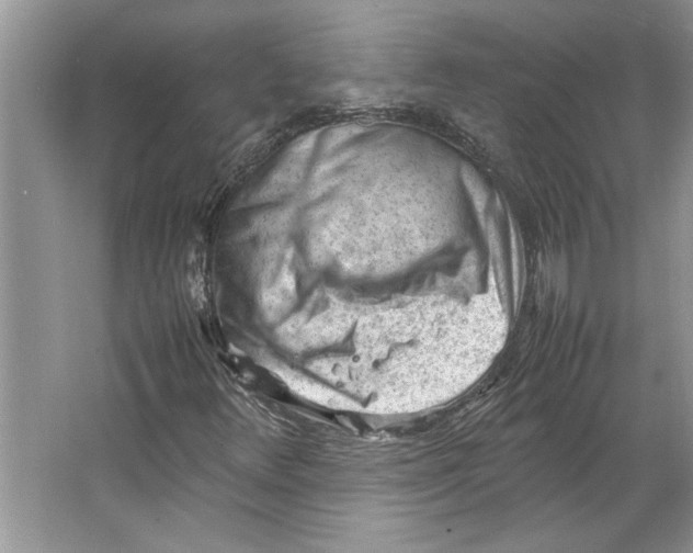 X0000064751348200603031723