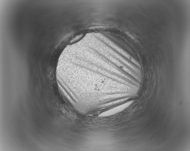 X0000064751351200603031723