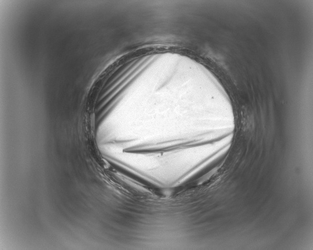 X0000064751352200603031723