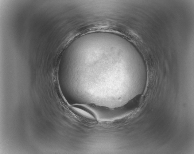 X0000064751353200603031723