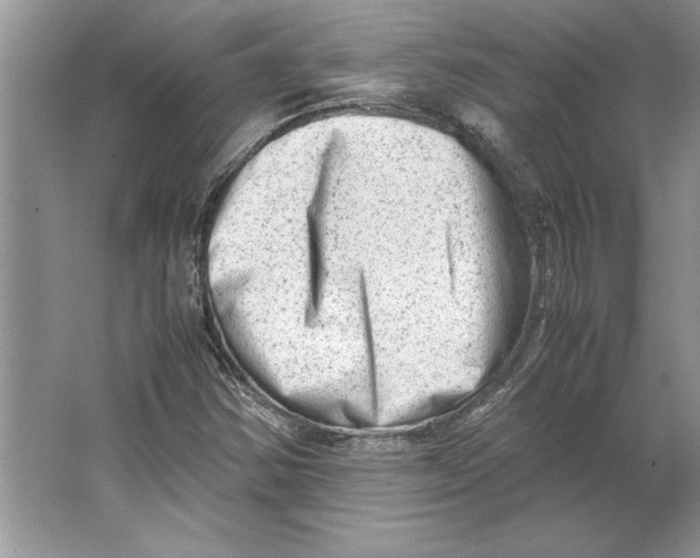 X0000064751354200603031723