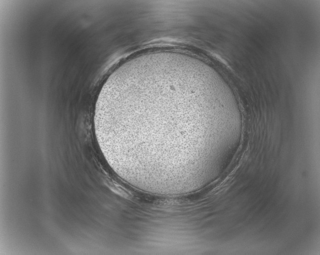 X0000064751355200603031723