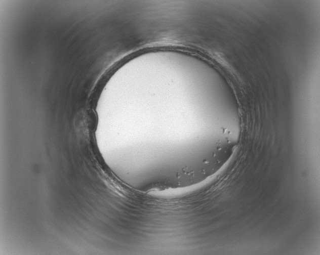 X0000064751356200603031723