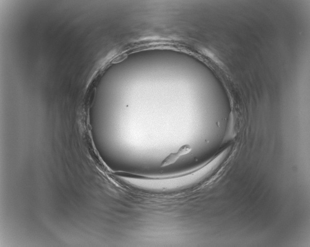 X0000064751357200603031723